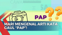 Apa Itu PAP? Arti Bahasa Kekinian yang Populer di Kalangan Anak Muda